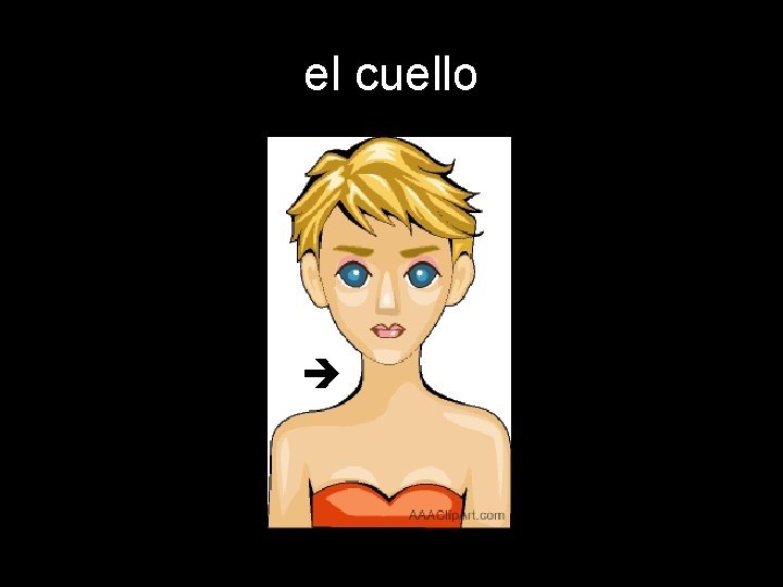 el cuello 