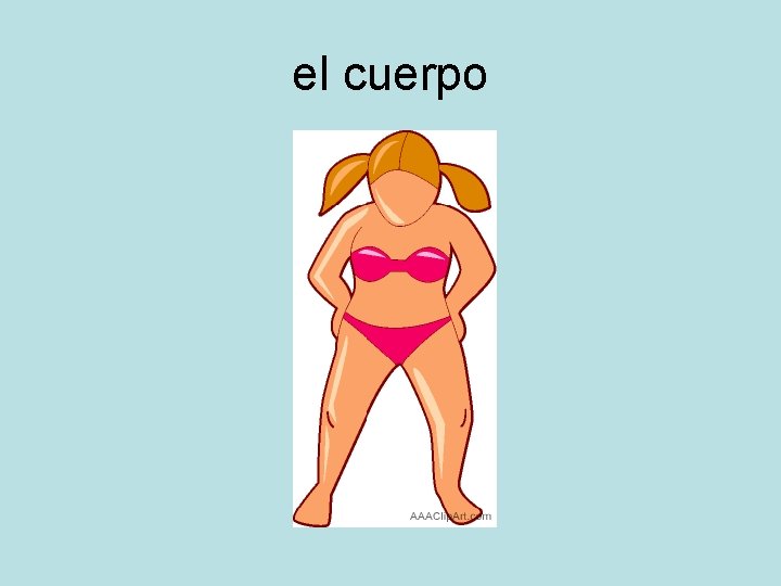 el cuerpo 