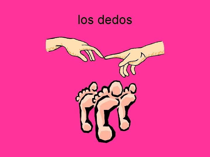 los dedos 