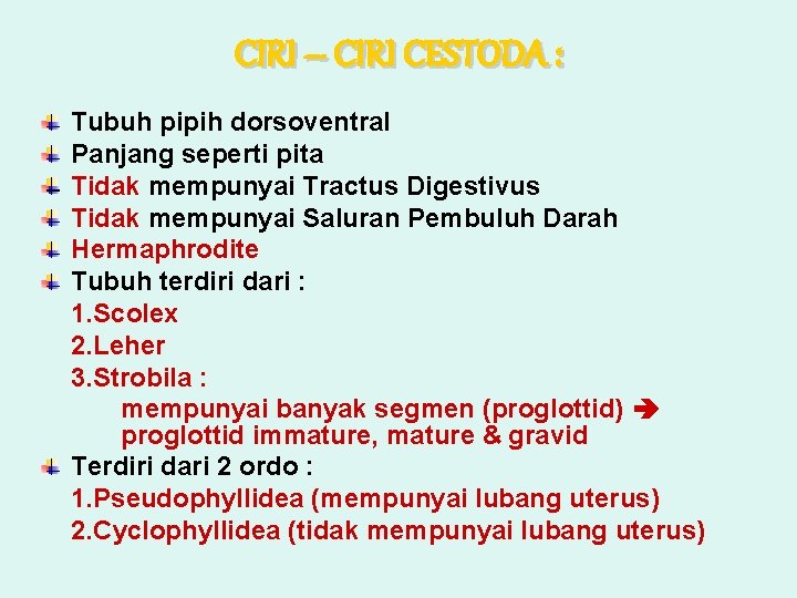 CIRI – CIRI CESTODA : Tubuh pipih dorsoventral Panjang seperti pita Tidak mempunyai Tractus