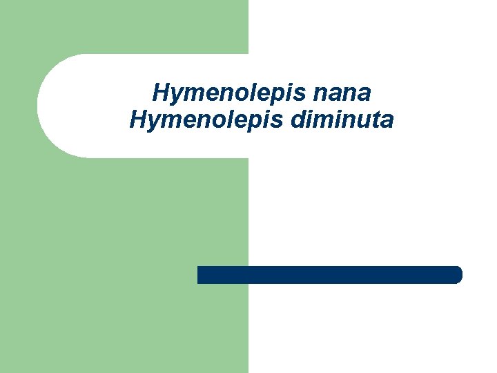 Hymenolepis nana Hymenolepis diminuta 