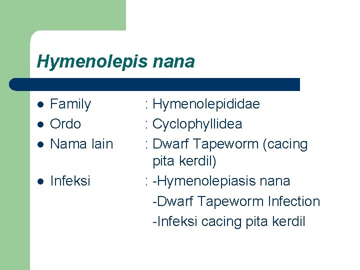 Hymenolepis nana l Family Ordo Nama lain l Infeksi l l : Hymenolepididae :