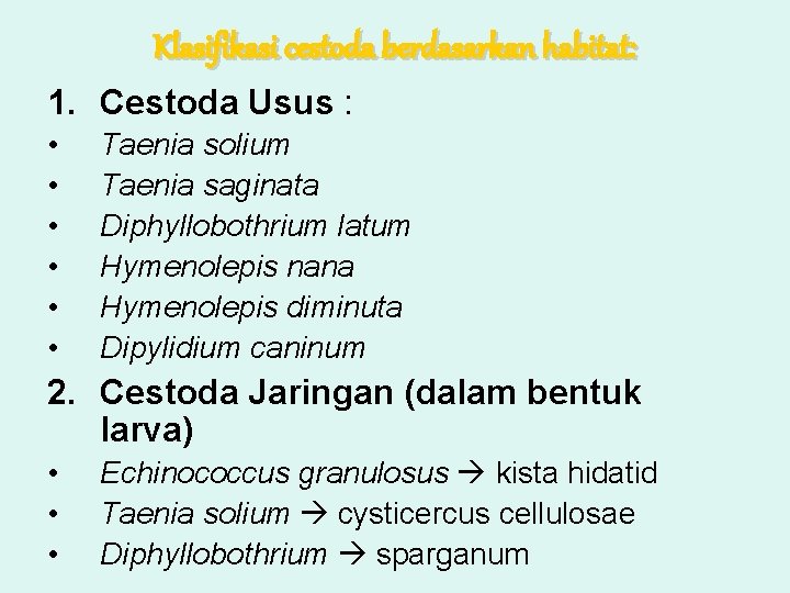 Klasifikasi cestoda berdasarkan habitat: 1. Cestoda Usus : • • • Taenia solium Taenia