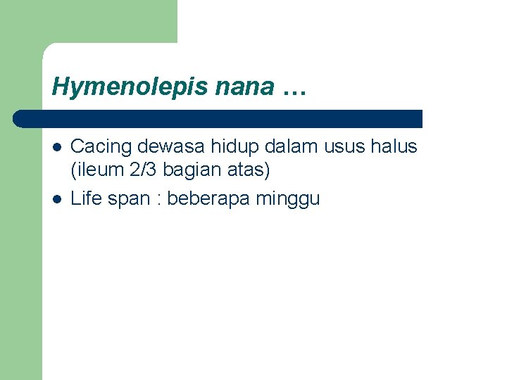 Hymenolepis nana … l l Cacing dewasa hidup dalam usus halus (ileum 2/3 bagian