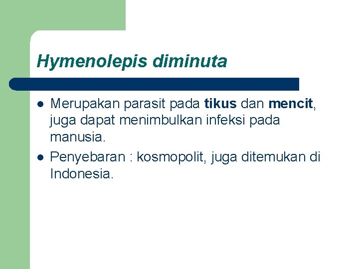 Hymenolepis diminuta l l Merupakan parasit pada tikus dan mencit, juga dapat menimbulkan infeksi