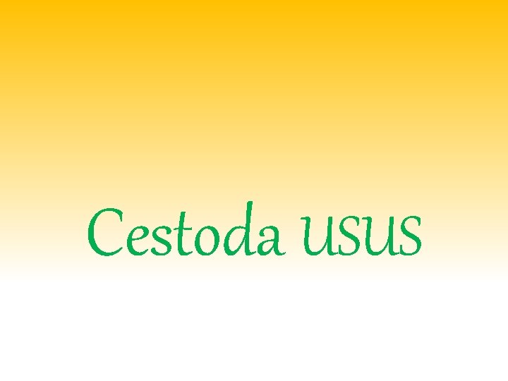 Cestoda USUS 