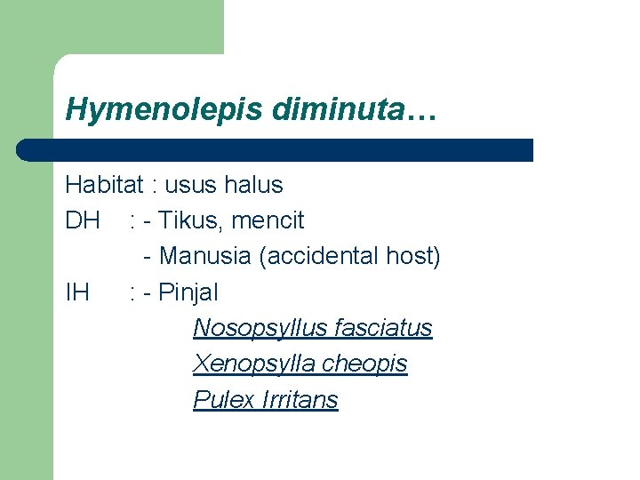 Hymenolepis diminuta… Habitat : usus halus DH : - Tikus, mencit - Manusia (accidental