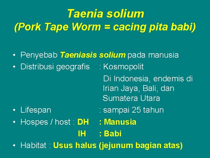 Taenia solium (Pork Tape Worm = cacing pita babi) • Penyebab Taeniasis solium pada