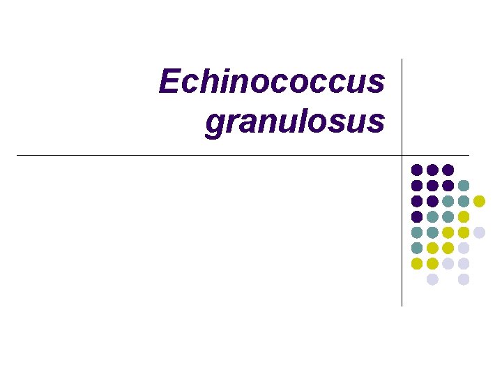 Echinococcus granulosus 