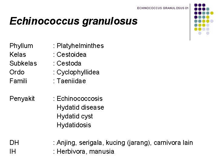 ECHINOCOCCUS GRANULOSUS 01 Echinococcus granulosus Phyllum Kelas Subkelas Ordo Famili : Platyhelminthes : Cestoidea