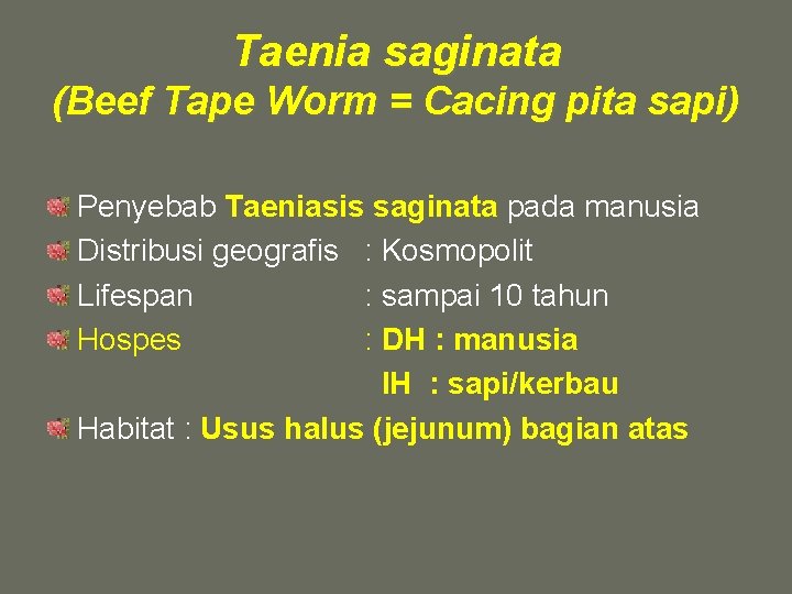 Taenia saginata (Beef Tape Worm = Cacing pita sapi) Penyebab Taeniasis saginata pada manusia