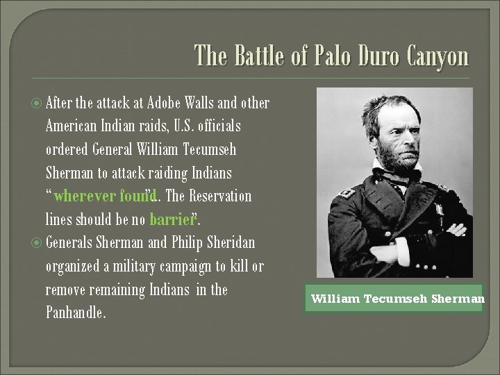 The Battle of Palo Duro Canyon After the attack at Adobe Walls and other