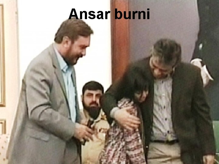 Ansar burni 