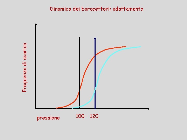 Frequenza di scarica Dinamica dei barocettori: adattamento pressione 100 120 