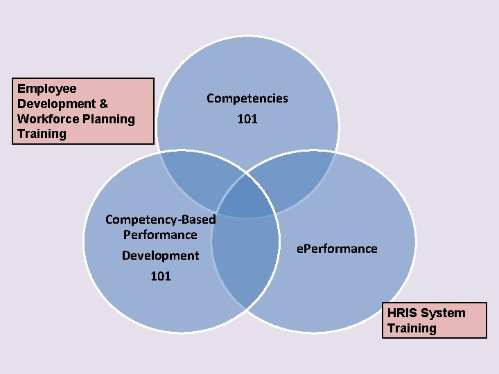 Employee Development & Workforce Planning Training Competencies 101 Competency-Based Performance Development 101 e. Performance