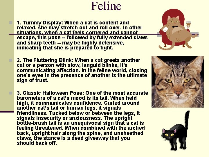 Feline n 1. Tummy Display: When a cat is content and relaxed, she may