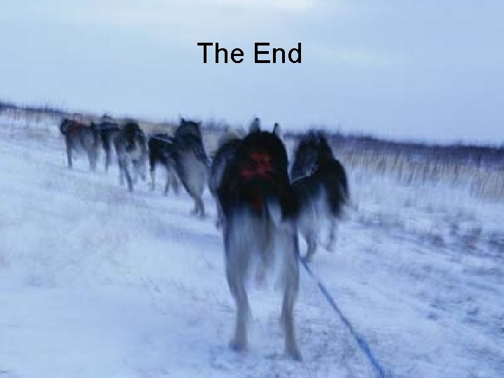The End 