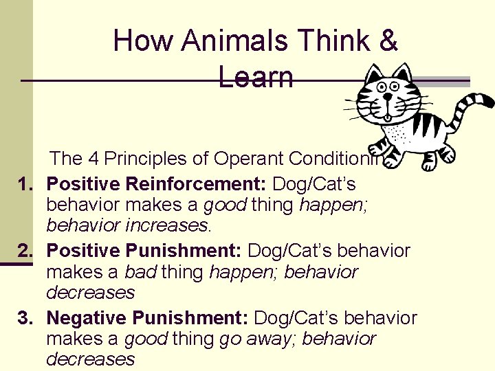 How Animals Think & Learn The 4 Principles of Operant Conditioning 1. Positive Reinforcement: