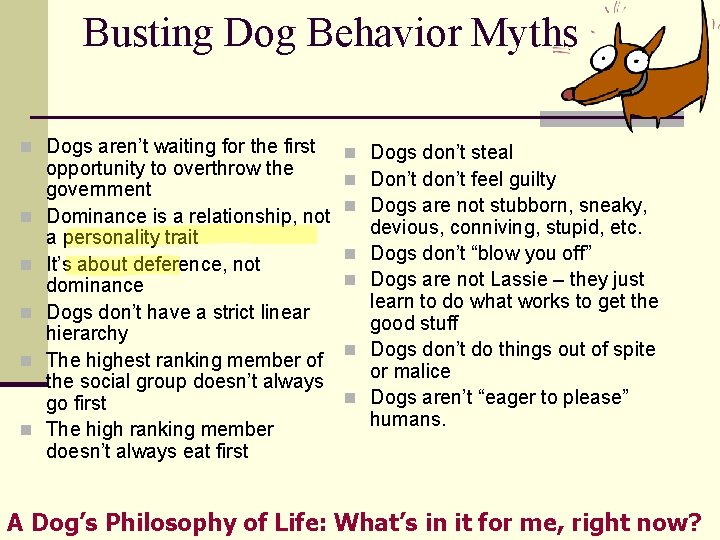 Busting Dog Behavior Myths n Dogs aren’t waiting for the first n n n