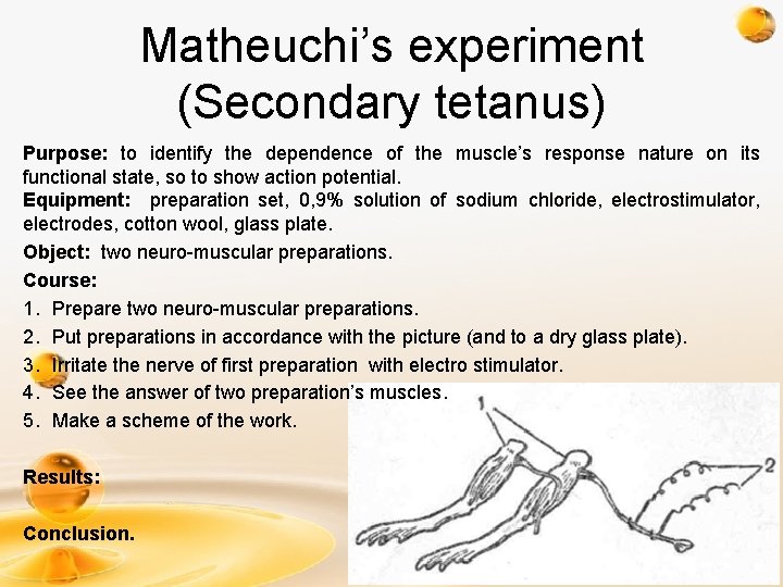 Matheuchi’s experiment (Secondary tetanus) Purpose: to identify the dependence of the muscle’s response nature