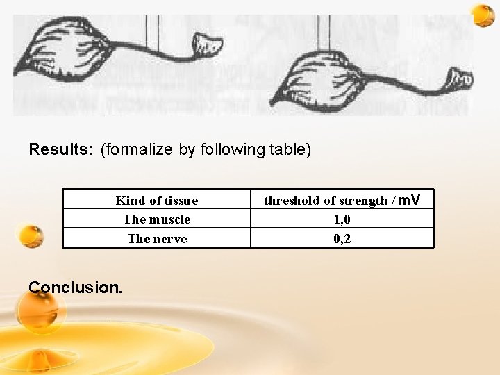 Results: (formalize by following table) Kind of tissue The muscle The nerve Conclusion. threshold