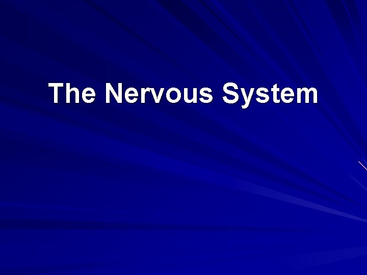 The Nervous System 