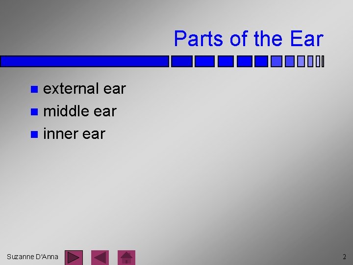 Parts of the Ear external ear n middle ear n inner ear n Suzanne