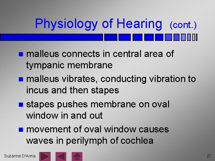 Physiology of Hearing (cont. ) malleus connects in central area of tympanic membrane n