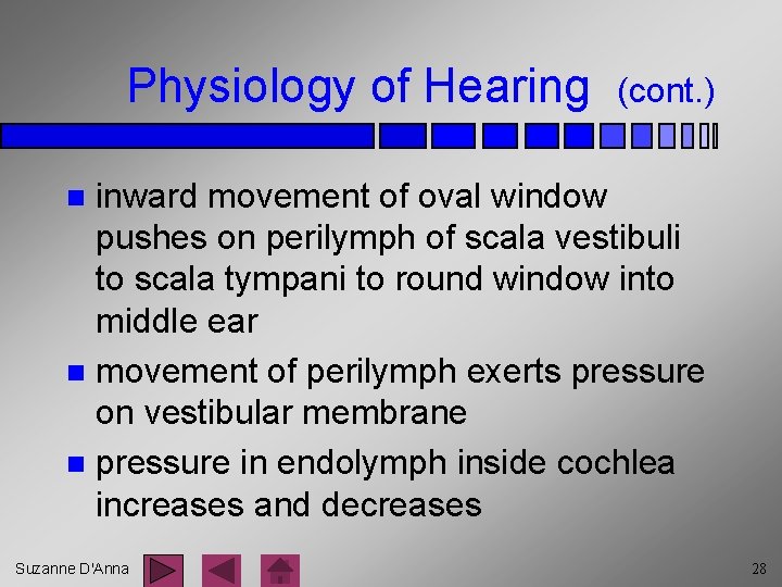 Physiology of Hearing (cont. ) inward movement of oval window pushes on perilymph of