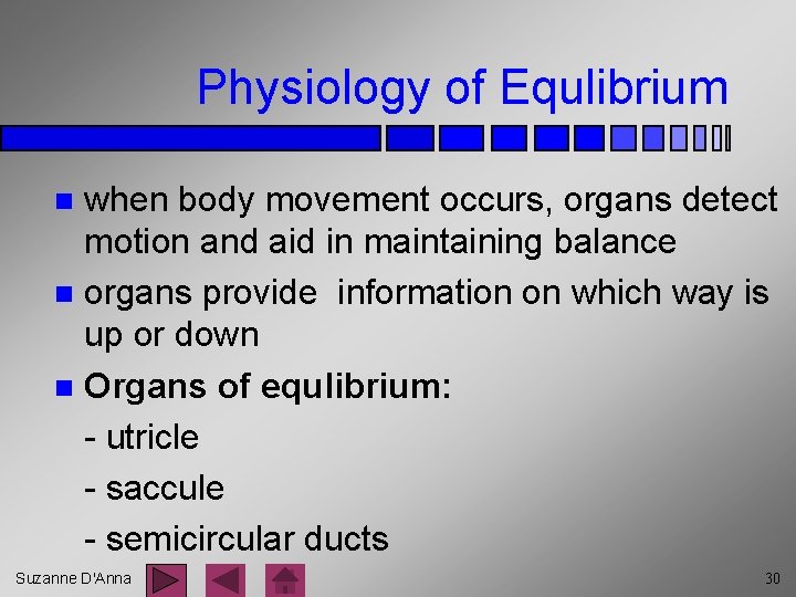 Physiology of Equlibrium when body movement occurs, organs detect motion and aid in maintaining