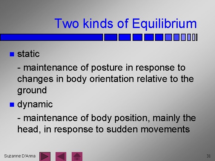 Two kinds of Equilibrium static - maintenance of posture in response to changes in