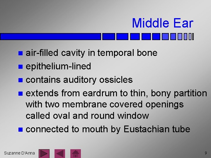 Middle Ear air-filled cavity in temporal bone n epithelium-lined n contains auditory ossicles n