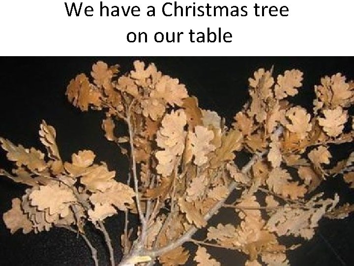 We have a Christmas tree on our table 