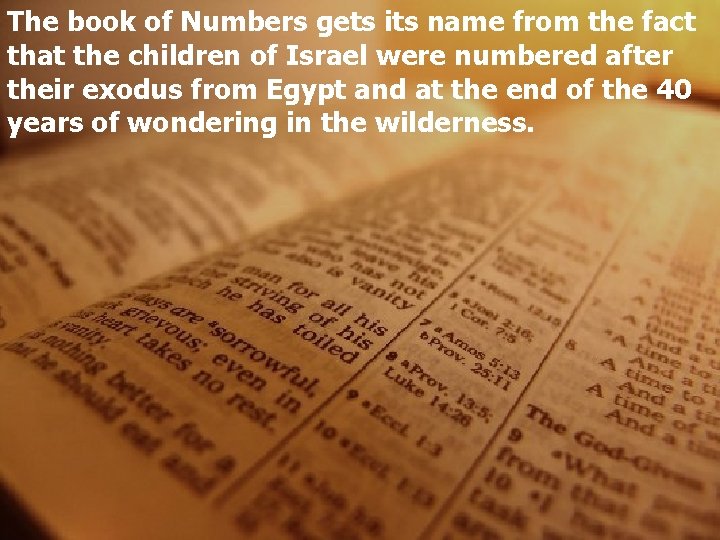 The book of Numbers gets its name from the fact that the children of