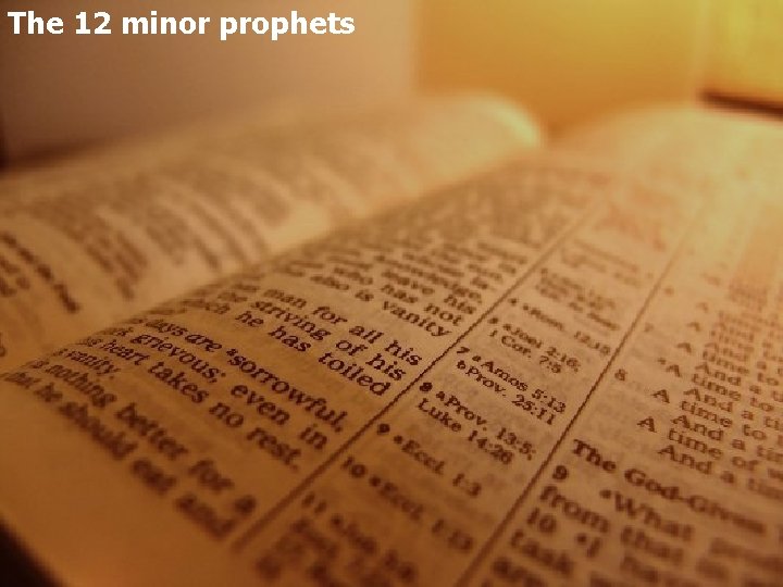 The 12 minor prophets 