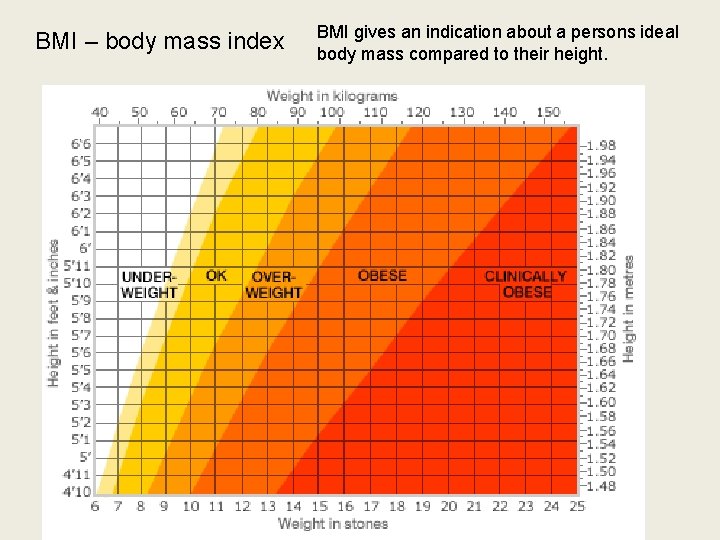 BMI – body mass index BMI gives an indication about a persons ideal body
