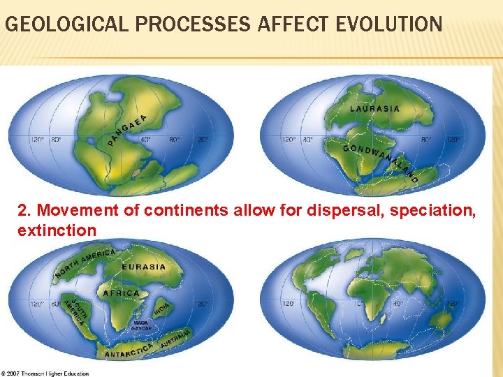 GEOLOGICAL PROCESSES AFFECT EVOLUTION 2. Movement of continents allow for dispersal, speciation, extinction 