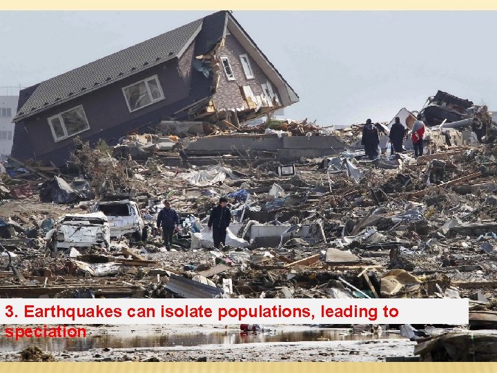 3. Earthquakes can isolate populations, leading to speciation 