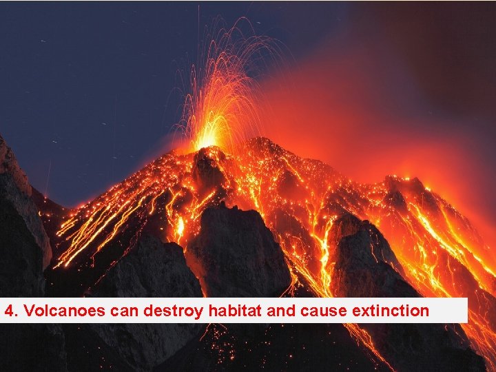 4. Volcanoes can destroy habitat and cause extinction 