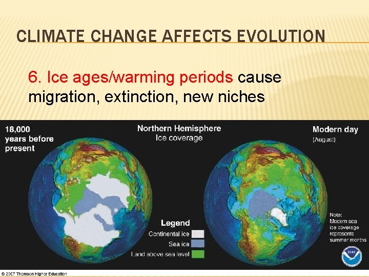 CLIMATE CHANGE AFFECTS EVOLUTION 6. Ice ages/warming periods cause migration, extinction, new niches 