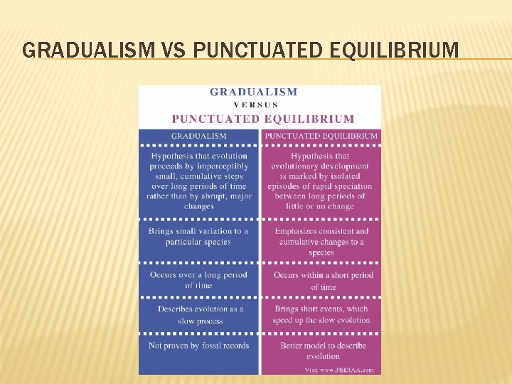 GRADUALISM VS PUNCTUATED EQUILIBRIUM 