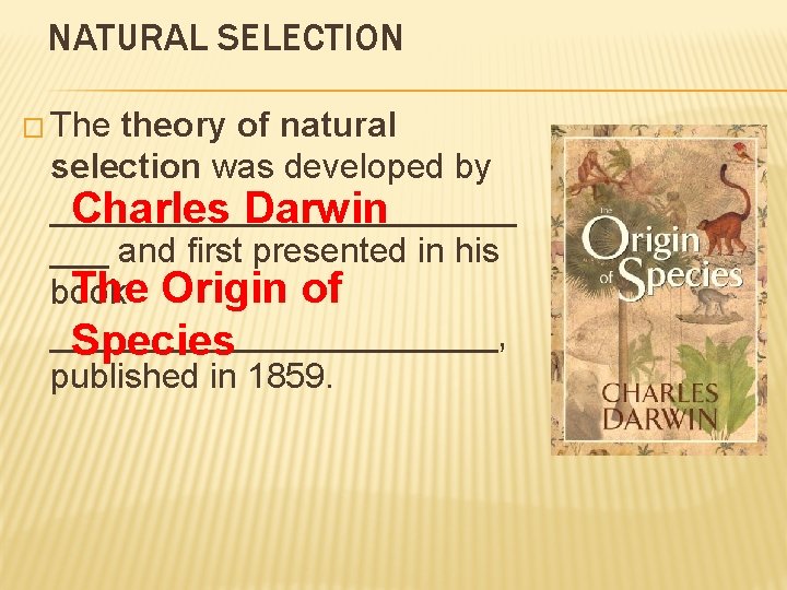 NATURAL SELECTION � The theory of natural selection was developed by ____________ Charles Darwin