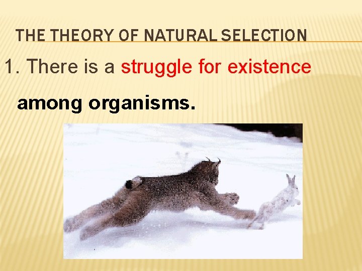 THE THEORY OF NATURAL SELECTION 1. There is a struggle for existence among organisms.