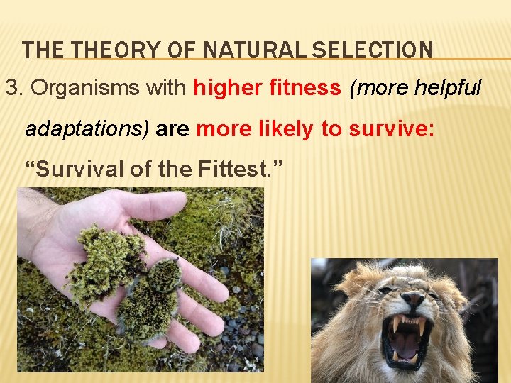 THE THEORY OF NATURAL SELECTION 3. Organisms with higher fitness (more helpful adaptations) are