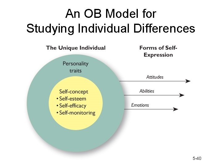 An OB Model for Studying Individual Differences Figure 5 -1 5 -40 