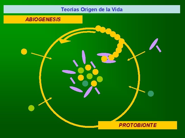 Teorías Origen de la Vida ABIOGENESIS PROTOBIONTE 