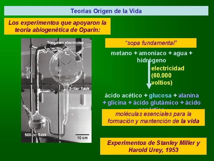 Teorías Origen de la Vida Los experimentos que apoyaron la teoría abiogenética de Oparin: