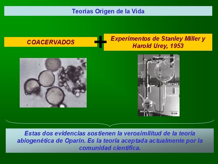 Teorías Origen de la Vida COACERVADOS + Experimentos de Stanley Miller y Harold Urey,