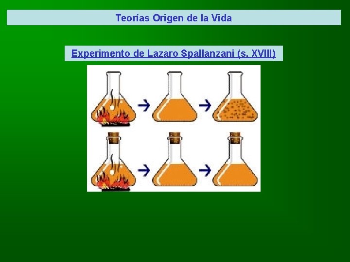 Teorías Origen de la Vida Experimento de Lazaro Spallanzani (s. XVIII) 