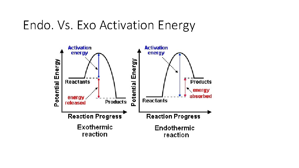 Endo. Vs. Exo Activation Energy 